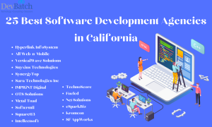 25 Best Software Development Agencies in California